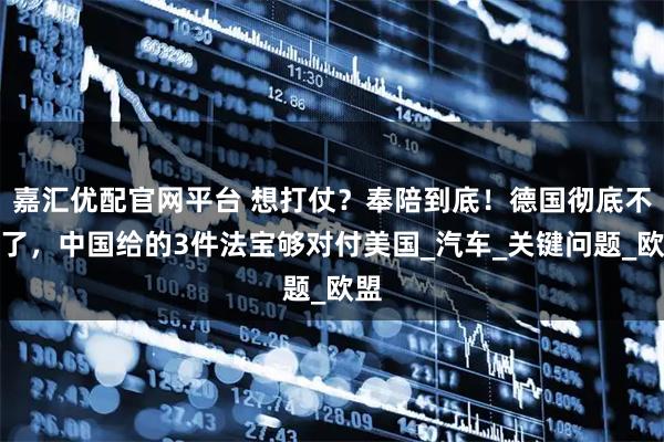 嘉汇优配官网平台 想打仗？奉陪到底！德国彻底不忍了，中国给的3件法宝够对付美国_汽车_关键问题_欧盟